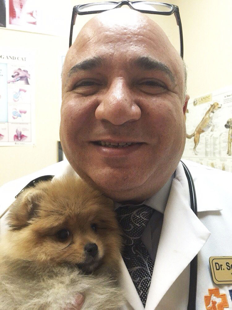 Dr. Hany Soliman, licensed veterinarian specializing in compassionate in-home pet euthanasia in Palm Springs, California