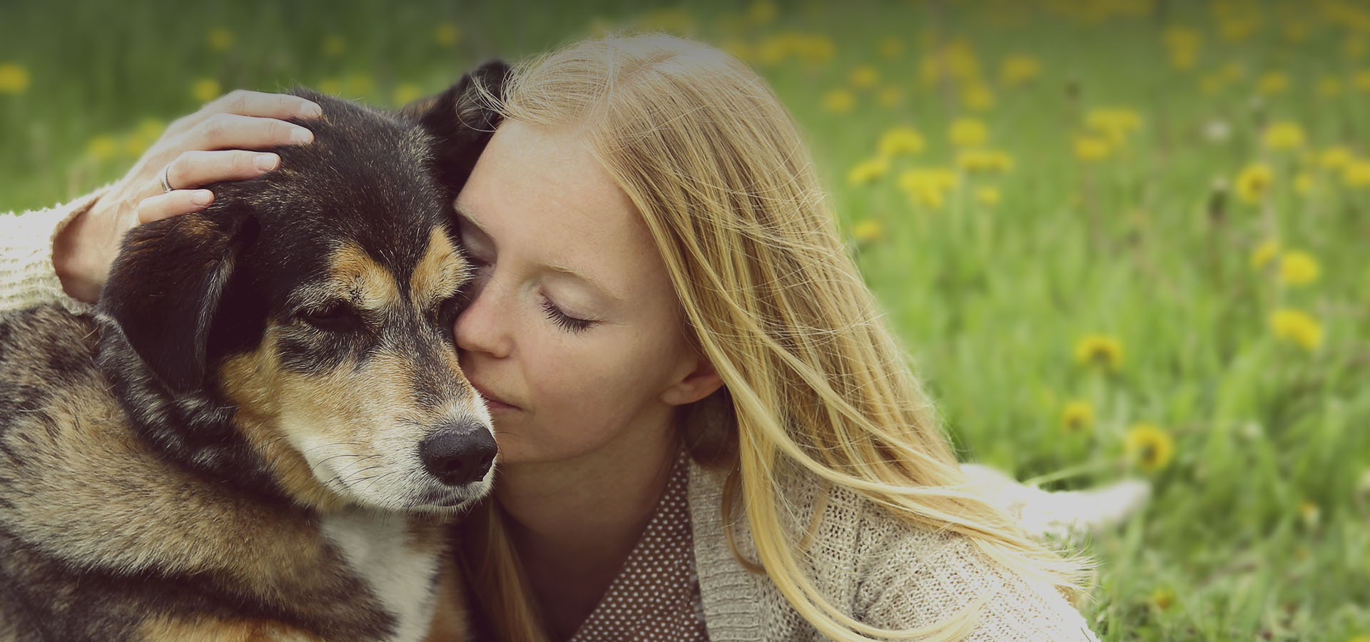Compassionate in-home pet euthanasia service in Palm Springs - veterinarian comforting a pet